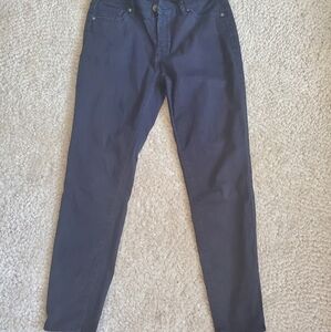 Buffalo David bitton